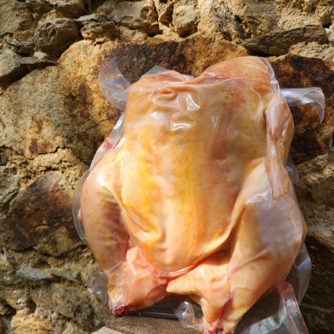 Farmářské kuře - objednávka